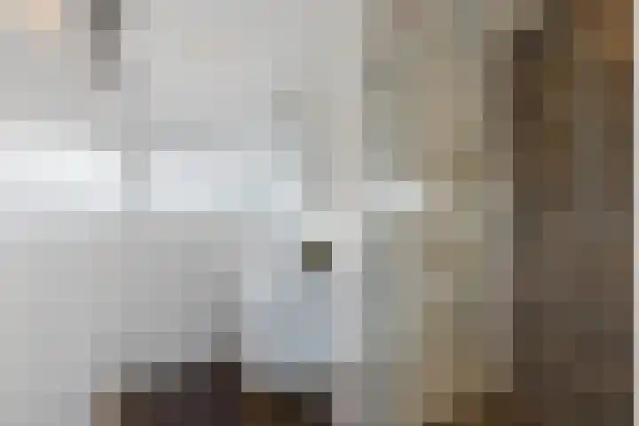 M. van Zantenstraat 9 Nieuwer Ter Aa thumbnail 35