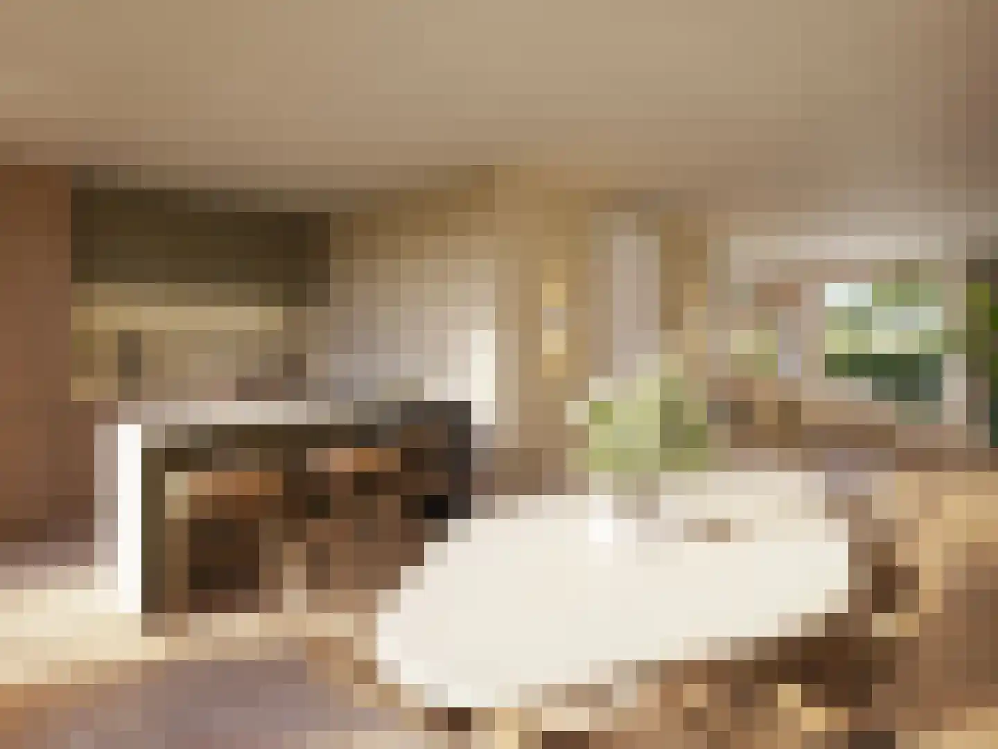 M. van Zantenstraat 9 Nieuwer Ter Aa thumbnail 4