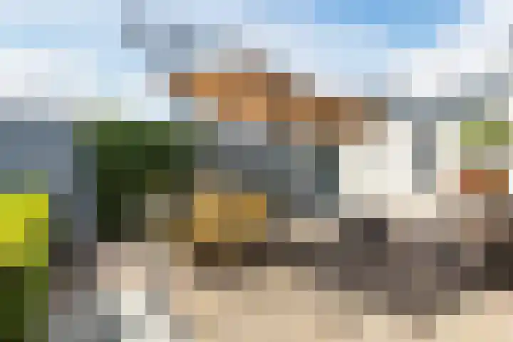M. van Zantenstraat 9 Nieuwer Ter Aa thumbnail 40