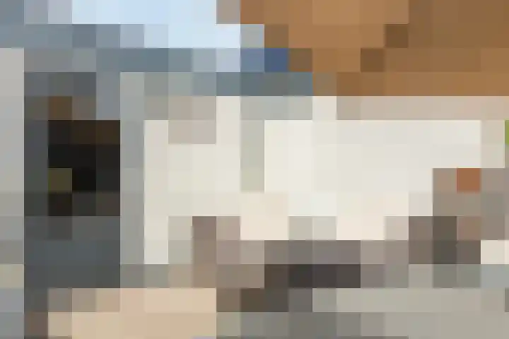 M. van Zantenstraat 9 Nieuwer Ter Aa thumbnail 41