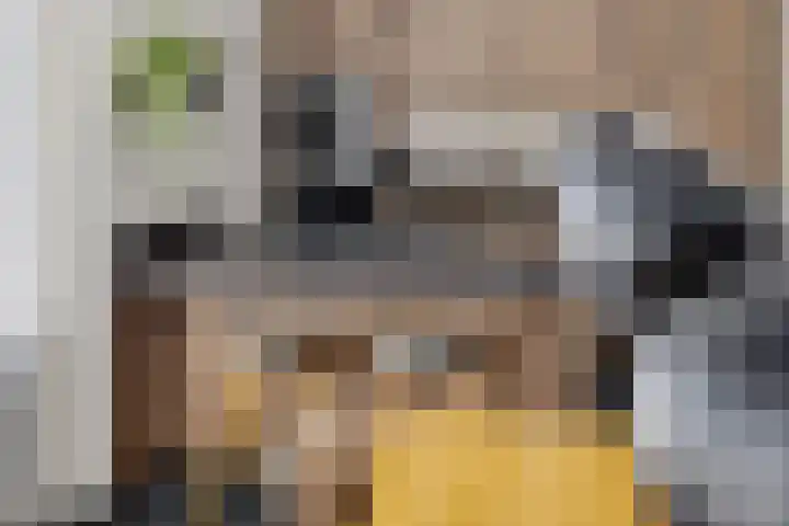 M. van Zeggelenhof 9 Maarssen thumbnail 14