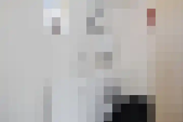M. van Zeggelenhof 9 Maarssen thumbnail 20