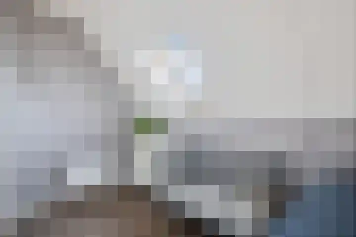 M. van Zeggelenhof 9 Maarssen thumbnail 24