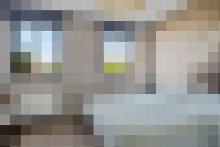M. van Zeggelenhof 9 Maarssen thumbnail 28