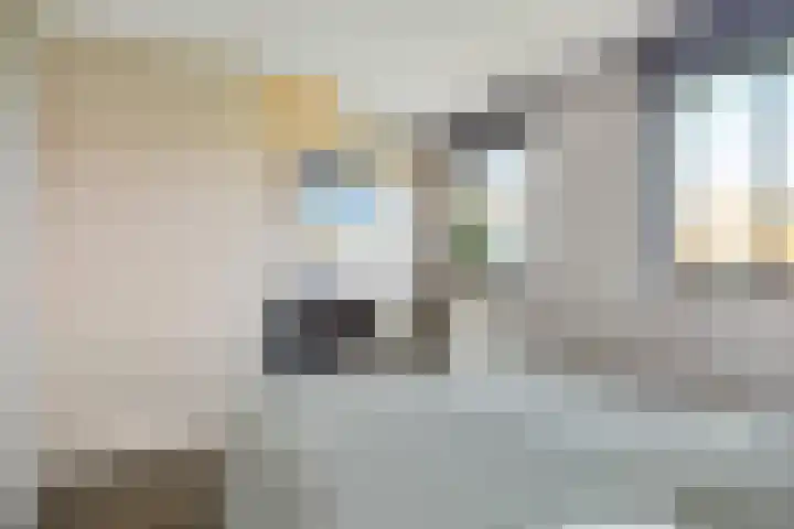 M. van Zeggelenhof 9 Maarssen thumbnail 29