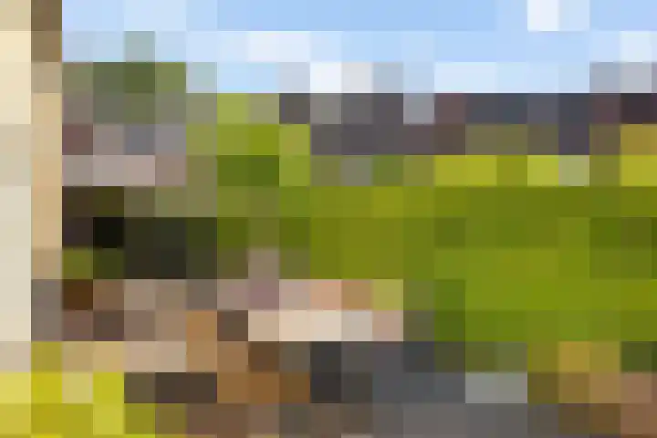 M. van Zeggelenhof 9 Maarssen thumbnail 32