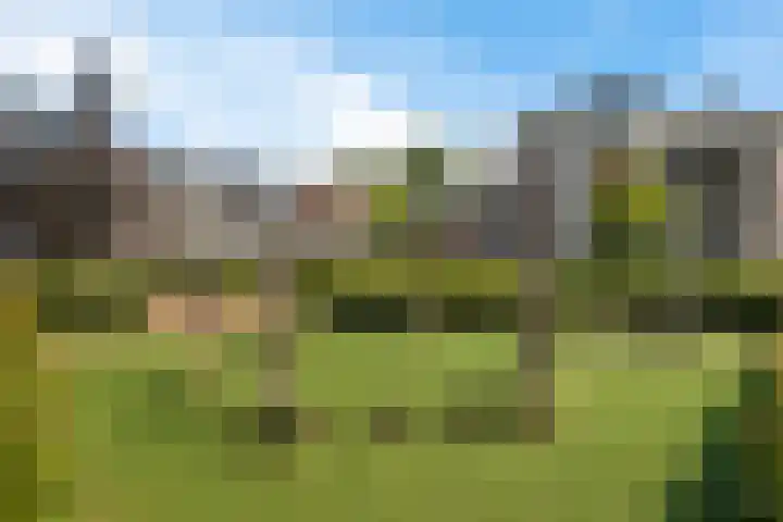 M. van Zeggelenhof 9 Maarssen thumbnail 38