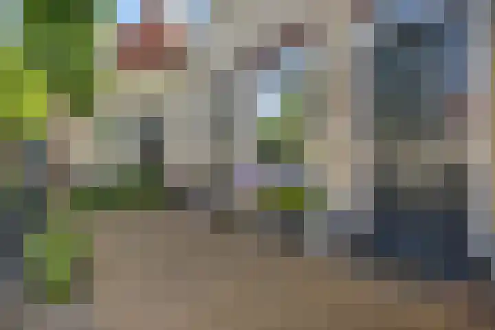 M. van Zeggelenhof 9 Maarssen thumbnail 4