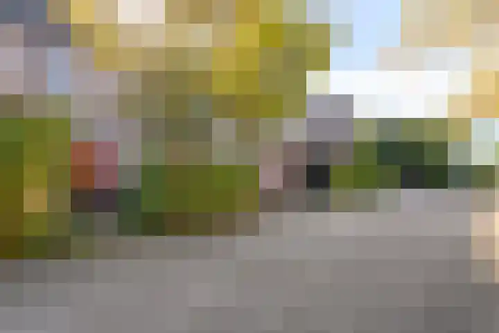 M van Zwaanenburghstraat 38 Zwolle thumbnail 30