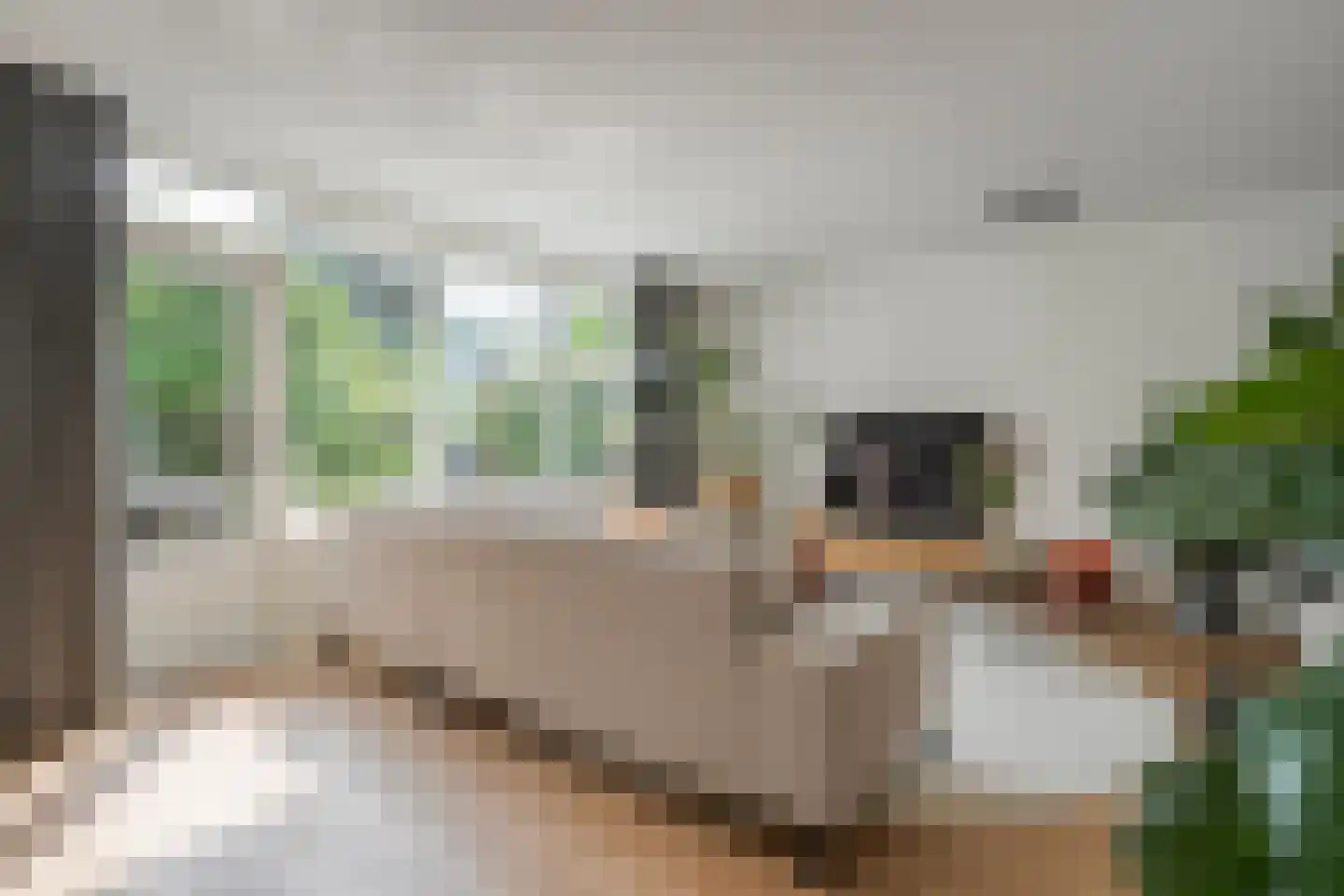 M van Zwaanenburghstraat 90 Zwolle thumbnail 16