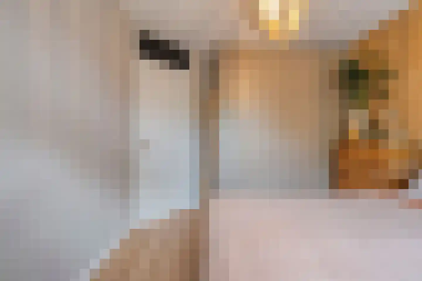 M van Zwaanenburghstraat 90 Zwolle thumbnail 24