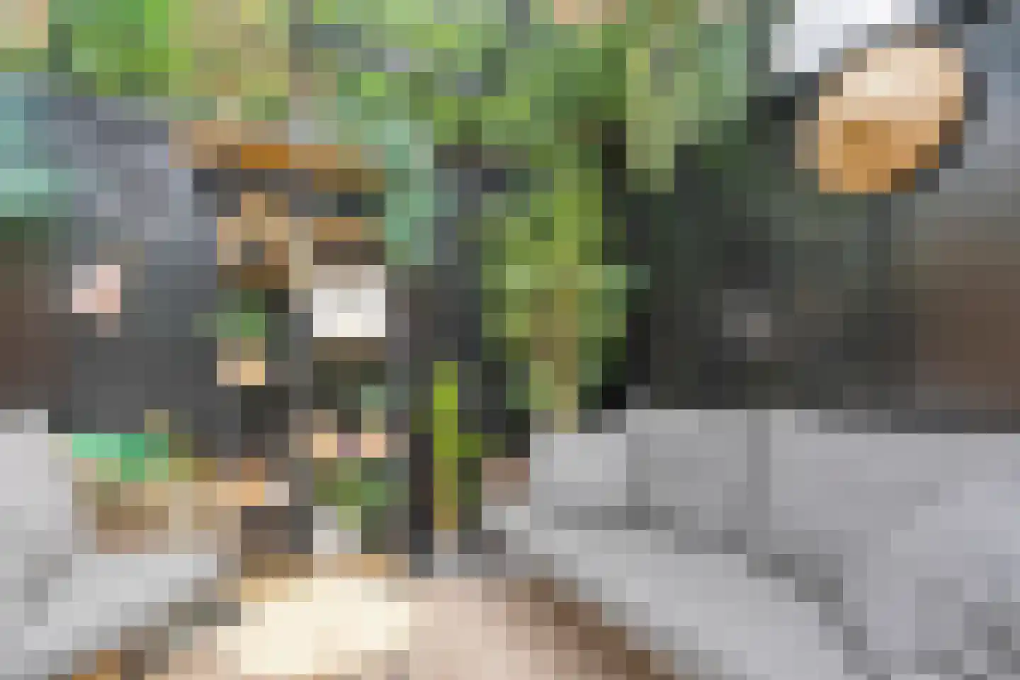 M van Zwaanenburghstraat 90 Zwolle thumbnail 45