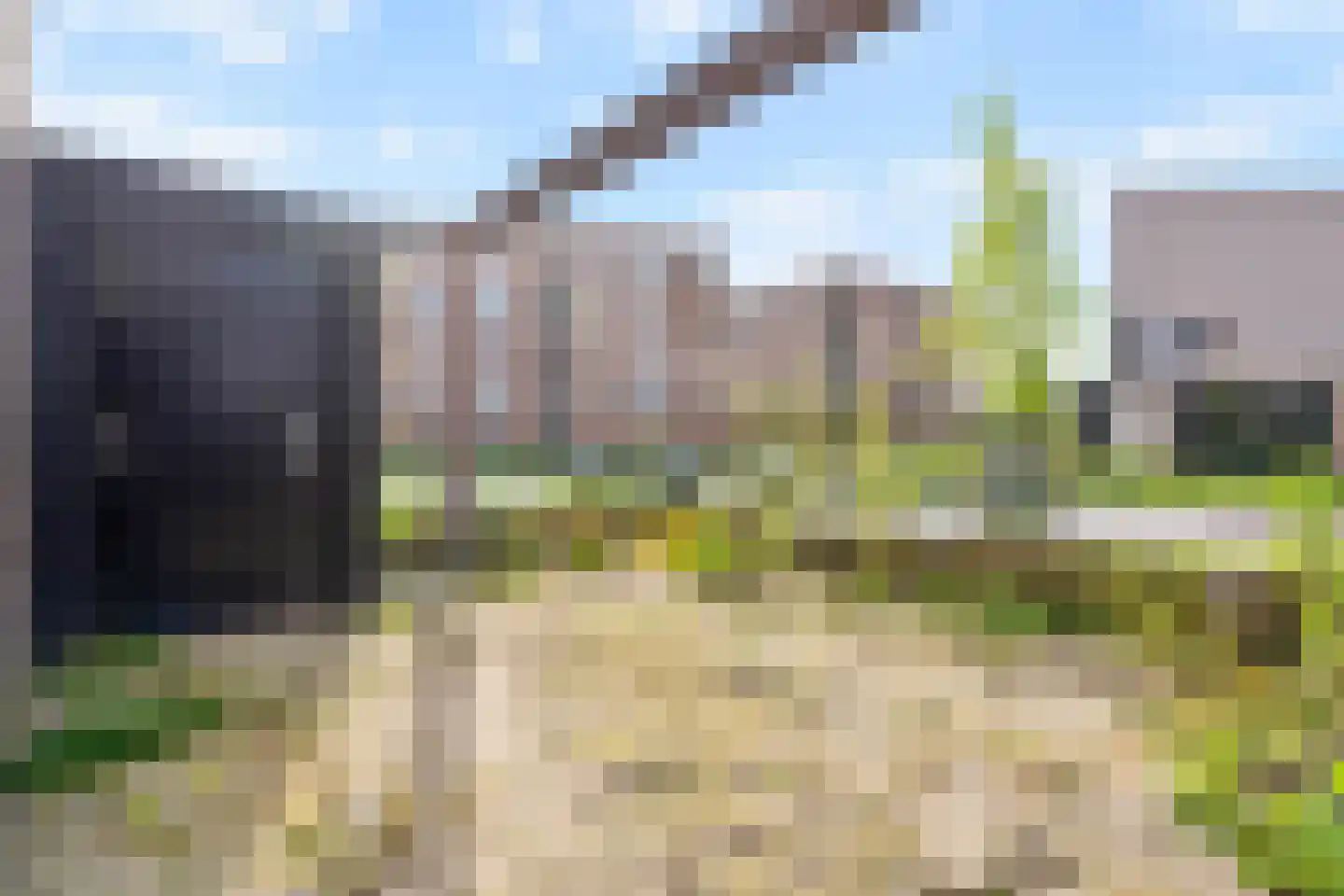 M. Vasalishof 10 Den Haag thumbnail 9