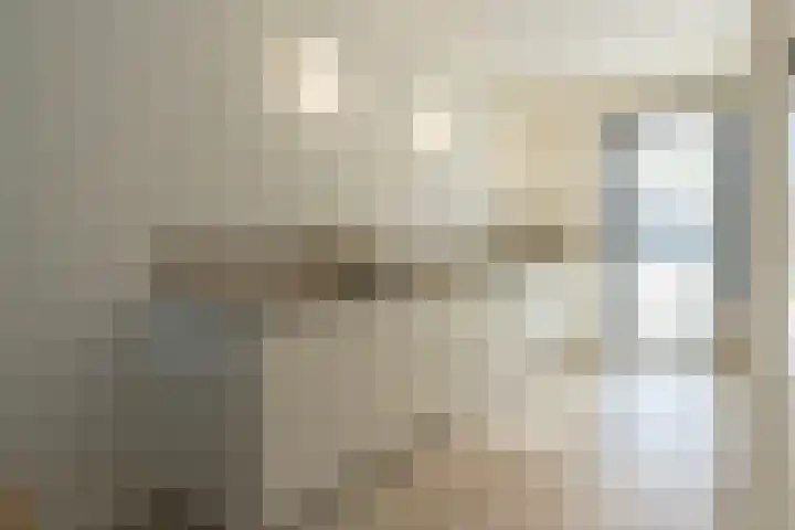 M. Vasalishof 3 Den Haag thumbnail 12