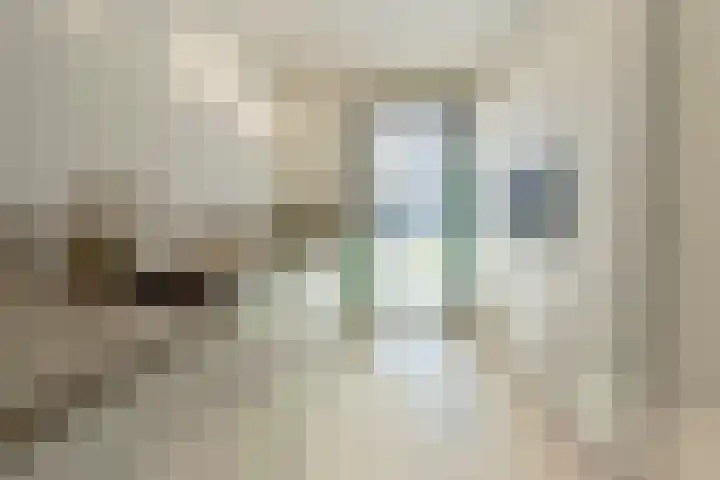 M. Vasalishof 3 Den Haag thumbnail 13