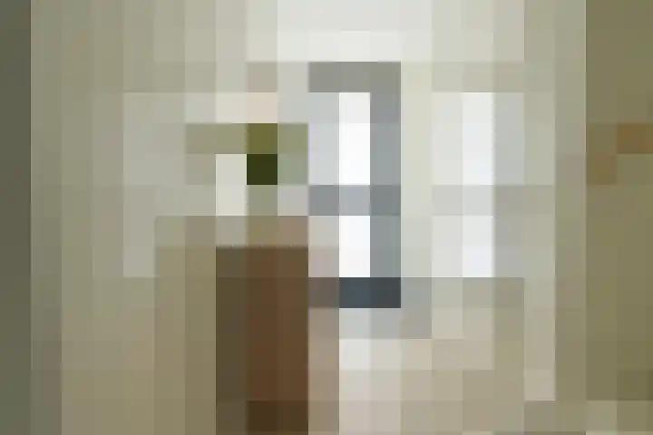 M. Vasalishof 3 Den Haag thumbnail 14
