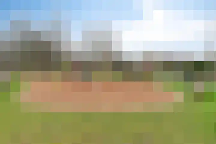 M. Vasalishof 3 Den Haag thumbnail 41