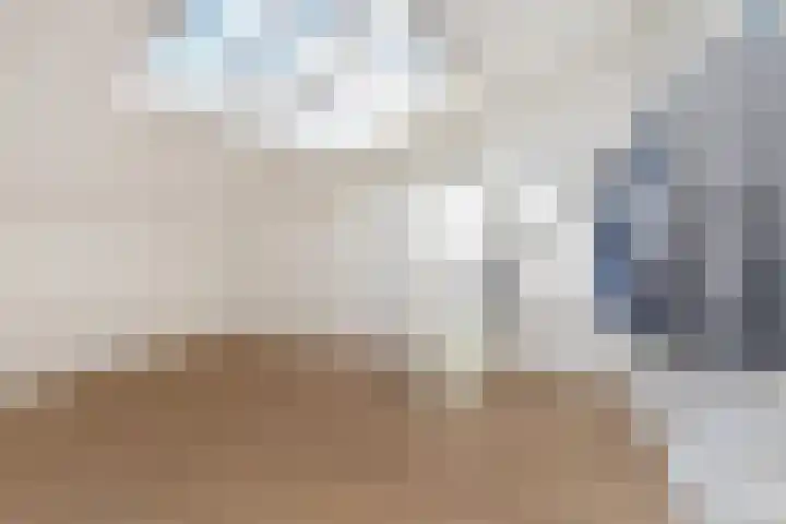 M. Vasalishof 8 Den Haag thumbnail 18