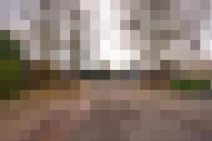 M. Vaumontlaan 1 Heemstede thumbnail 35