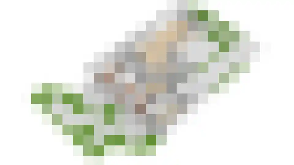 M. Vaumontlaan 3 Heemstede thumbnail 34