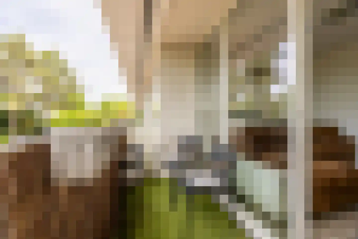 M. Vaumontlaan 36 Heemstede thumbnail 6