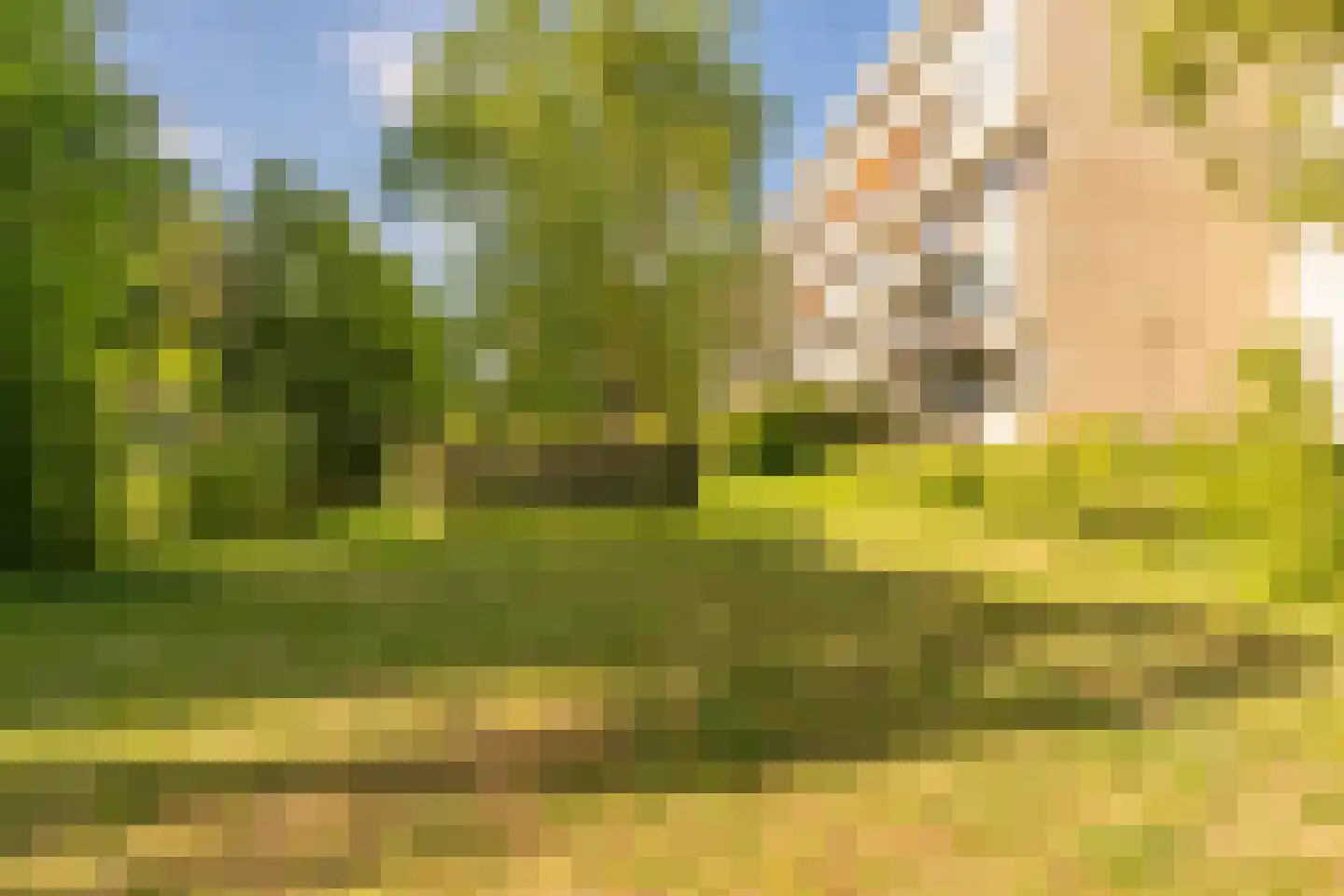 M. Vaumontlaan 48 Heemstede thumbnail 41