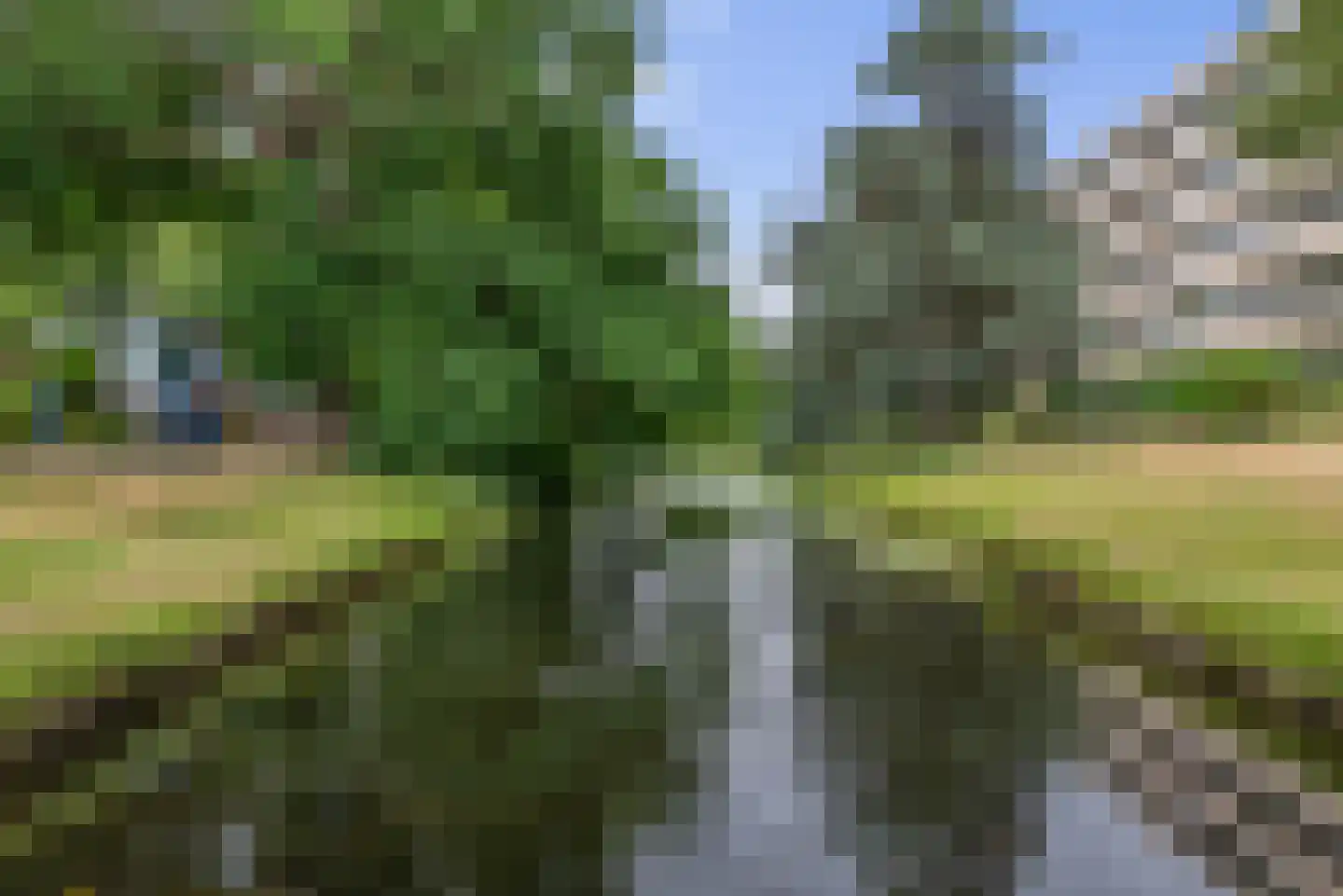 M. Vaumontlaan 64 Heemstede thumbnail 29