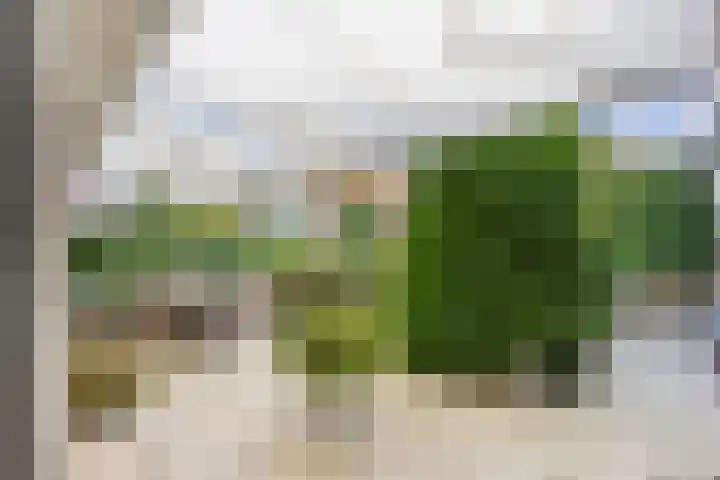 M. Vaumontlaan 7 Heemstede thumbnail 10
