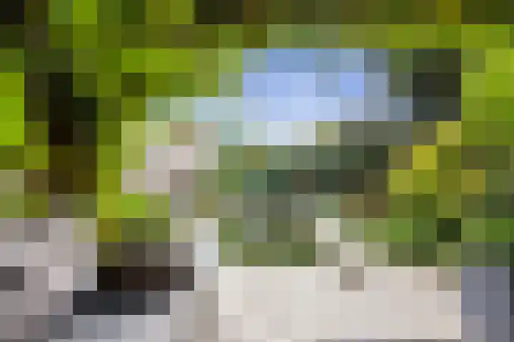 M. Vaumontlaan 7 Heemstede thumbnail 49