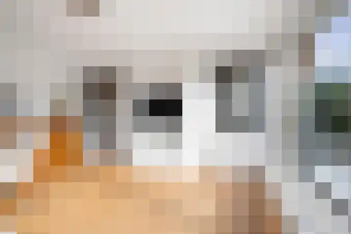 M. Vaumontlaan 7 Heemstede thumbnail 5