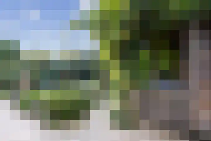 M. Vaumontlaan 7 Heemstede thumbnail 50
