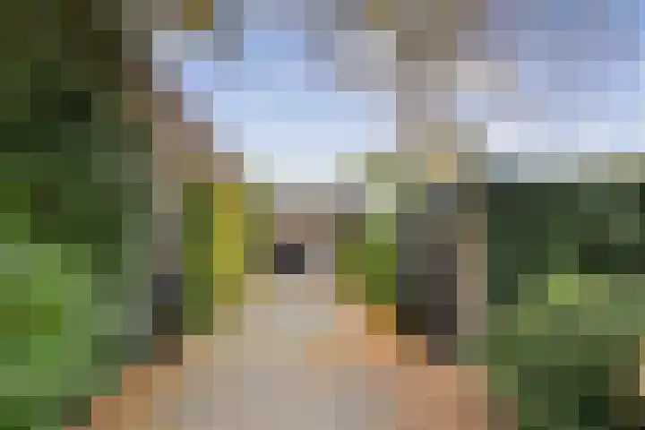 M. Vaumontlaan 7 Heemstede thumbnail 51