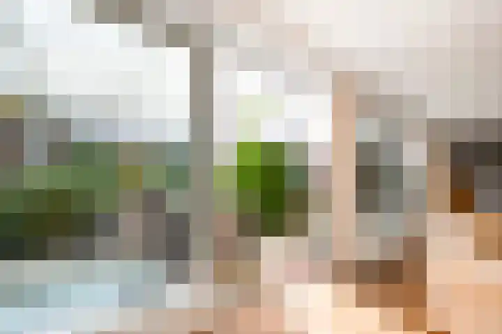 M. Vaumontlaan 7 Heemstede thumbnail 8