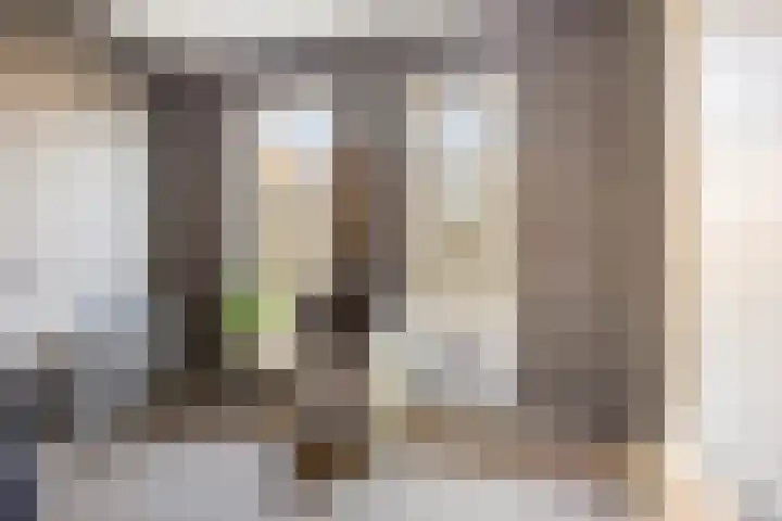 M.W. van de Waalstraat 32 Rhenen thumbnail 19