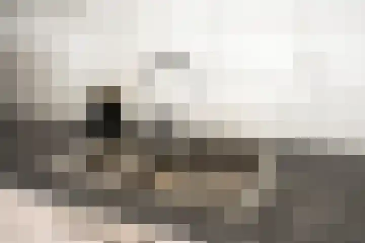 M.W. van de Waalstraat 32 Rhenen thumbnail 26
