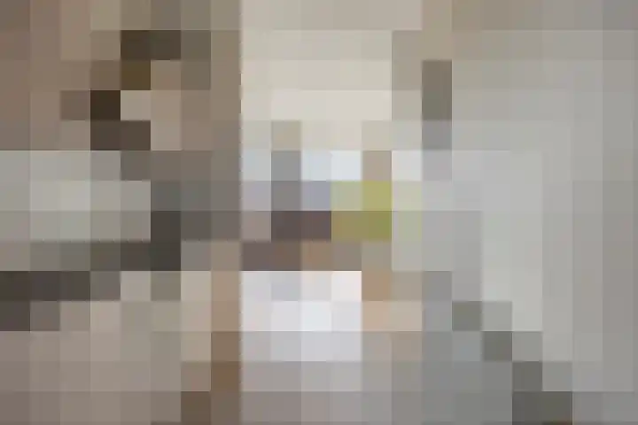 M.W. van de Waalstraat 32 Rhenen thumbnail 27