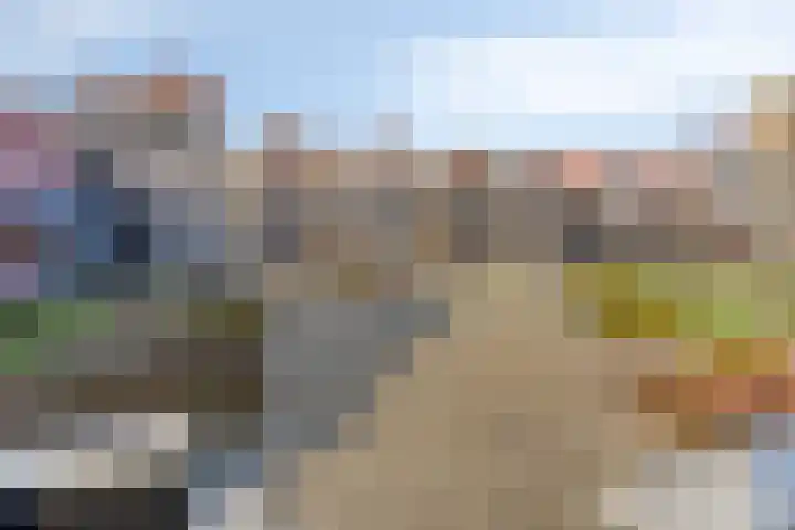 M.W. van de Waalstraat 32 Rhenen thumbnail 36