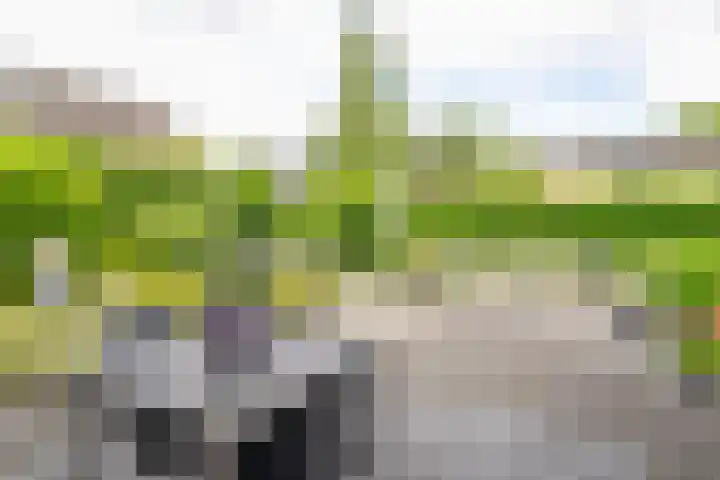 M. Wibautstraat 11 Groningen thumbnail 53