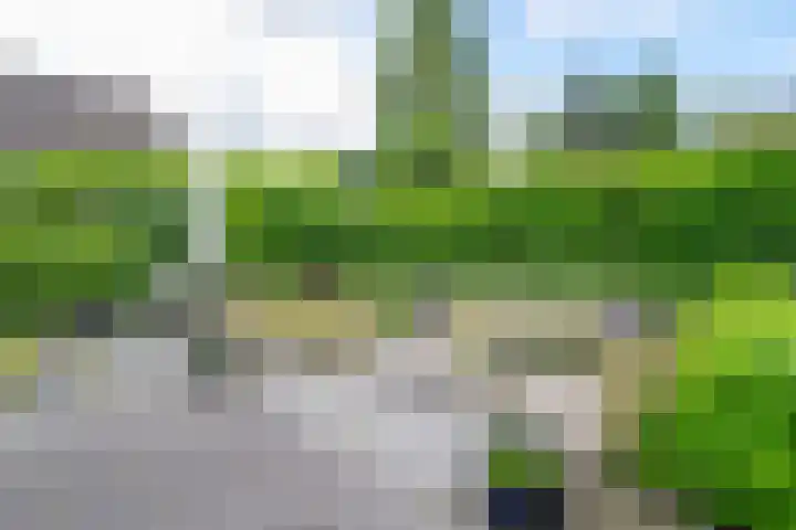 M. Wibautstraat 11 Groningen thumbnail 54
