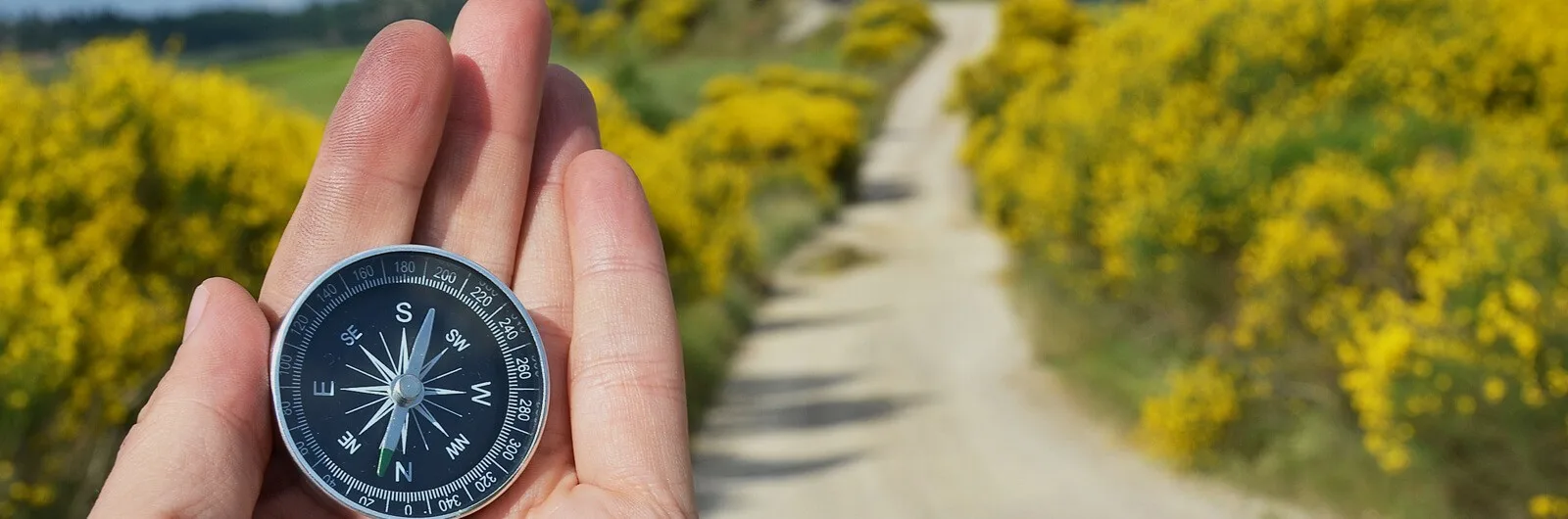 Team photo of MA/COM Stad- en Regio Makelaars