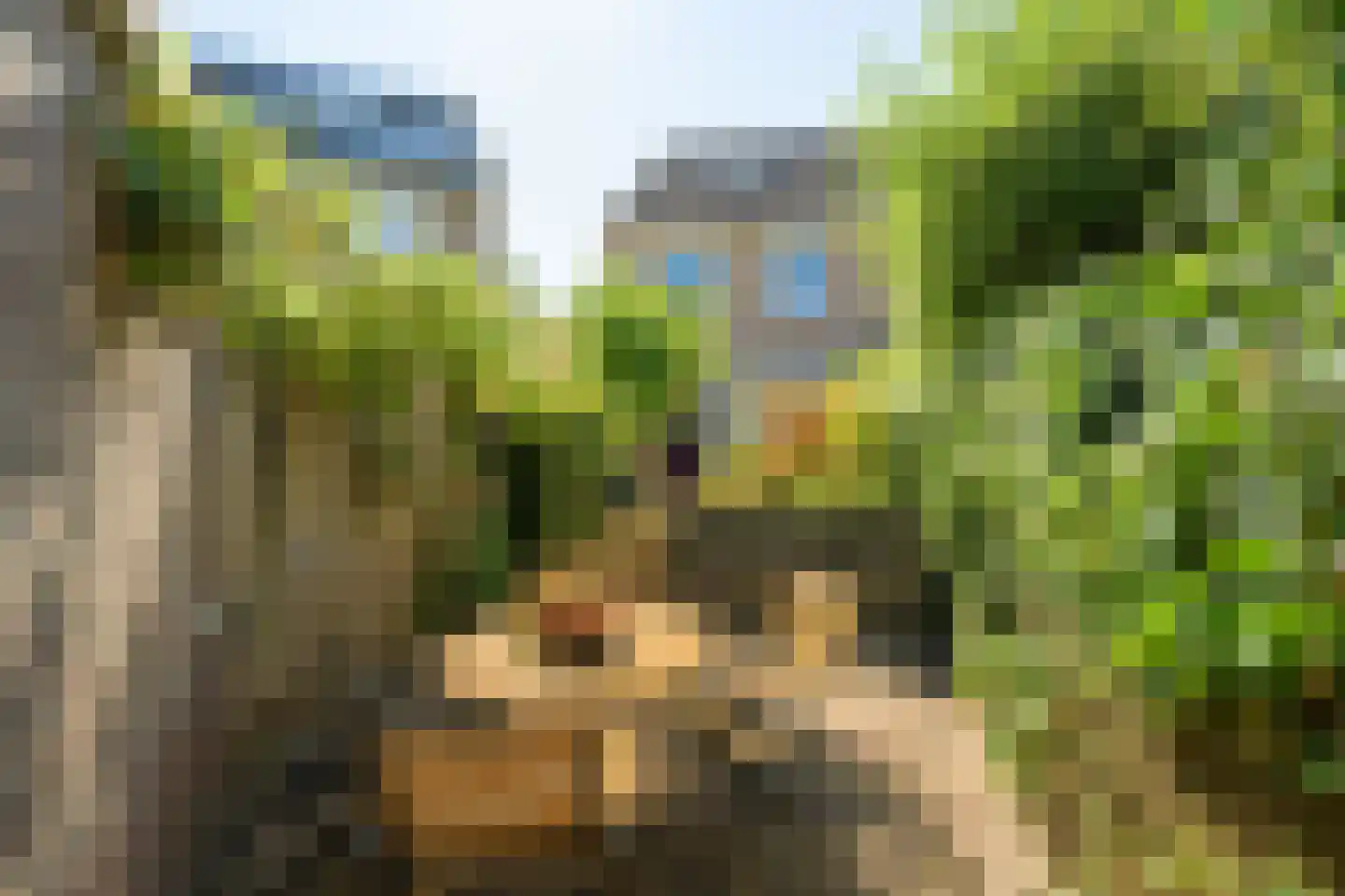 Ma Ueberfeldtstraat 7 Breda thumbnail 24
