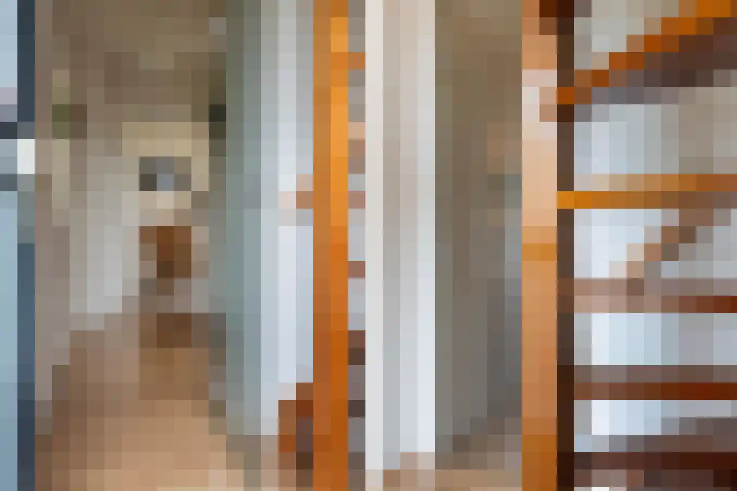 Maadsingel 46 Appelscha thumbnail 10