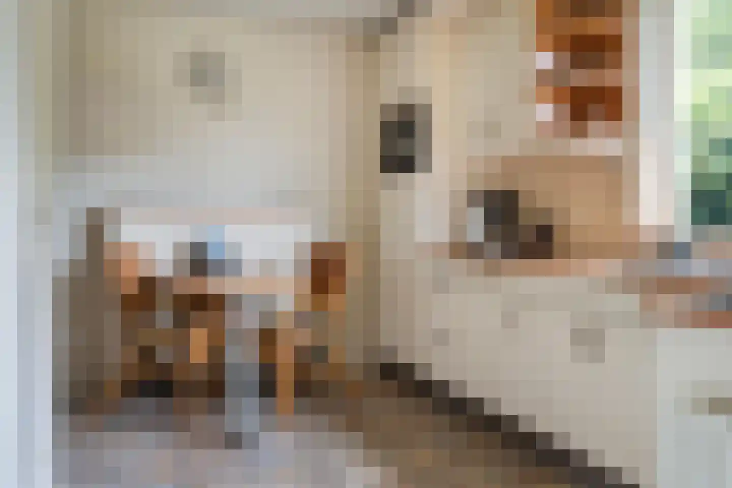 Maadsingel 46 Appelscha thumbnail 11