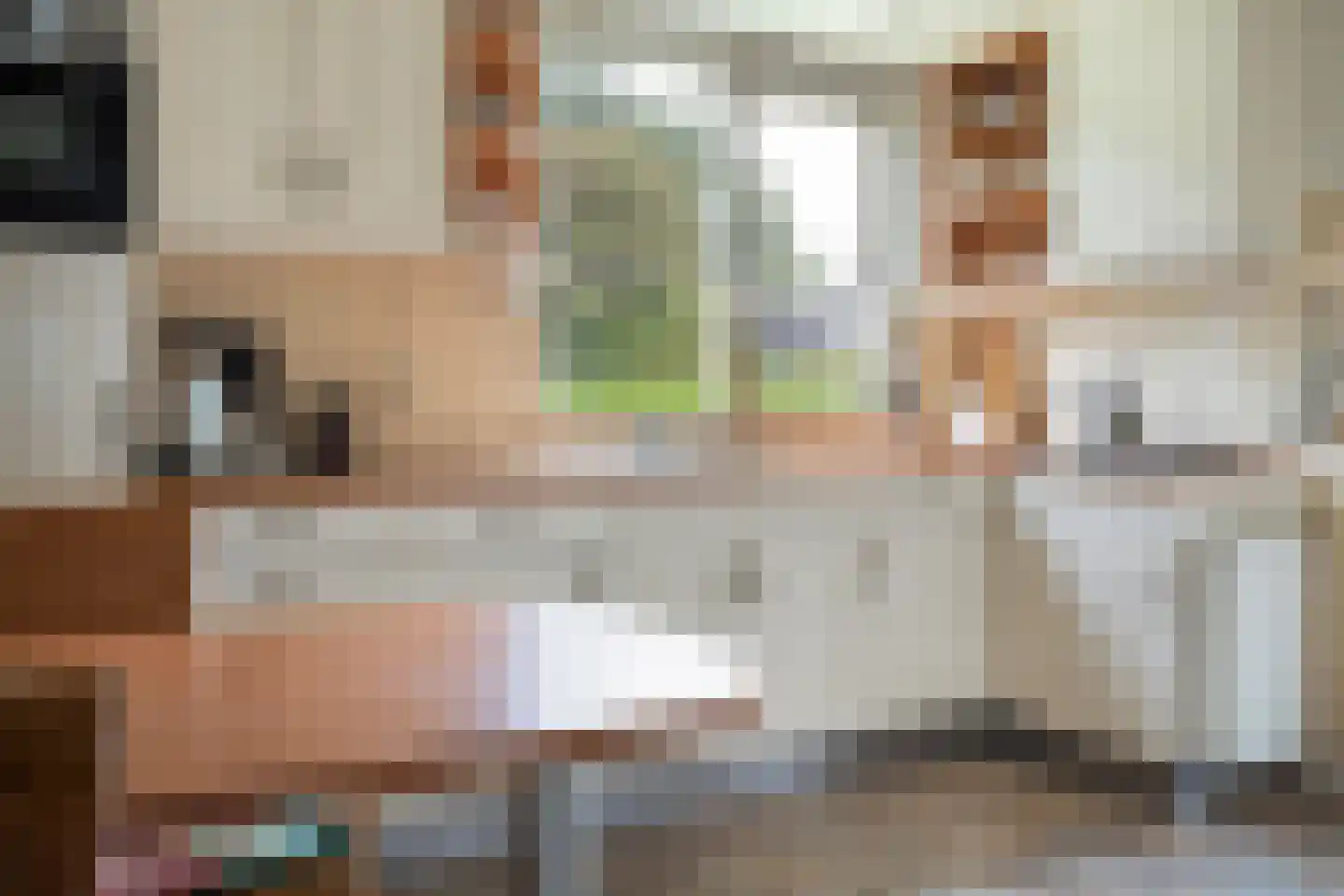 Maadsingel 46 Appelscha thumbnail 12