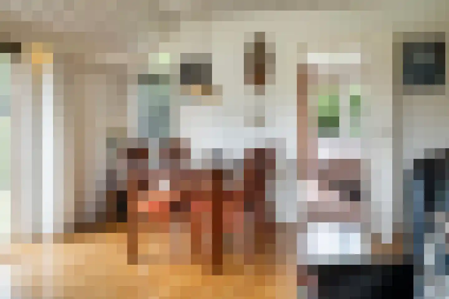 Maadsingel 46 Appelscha thumbnail 19