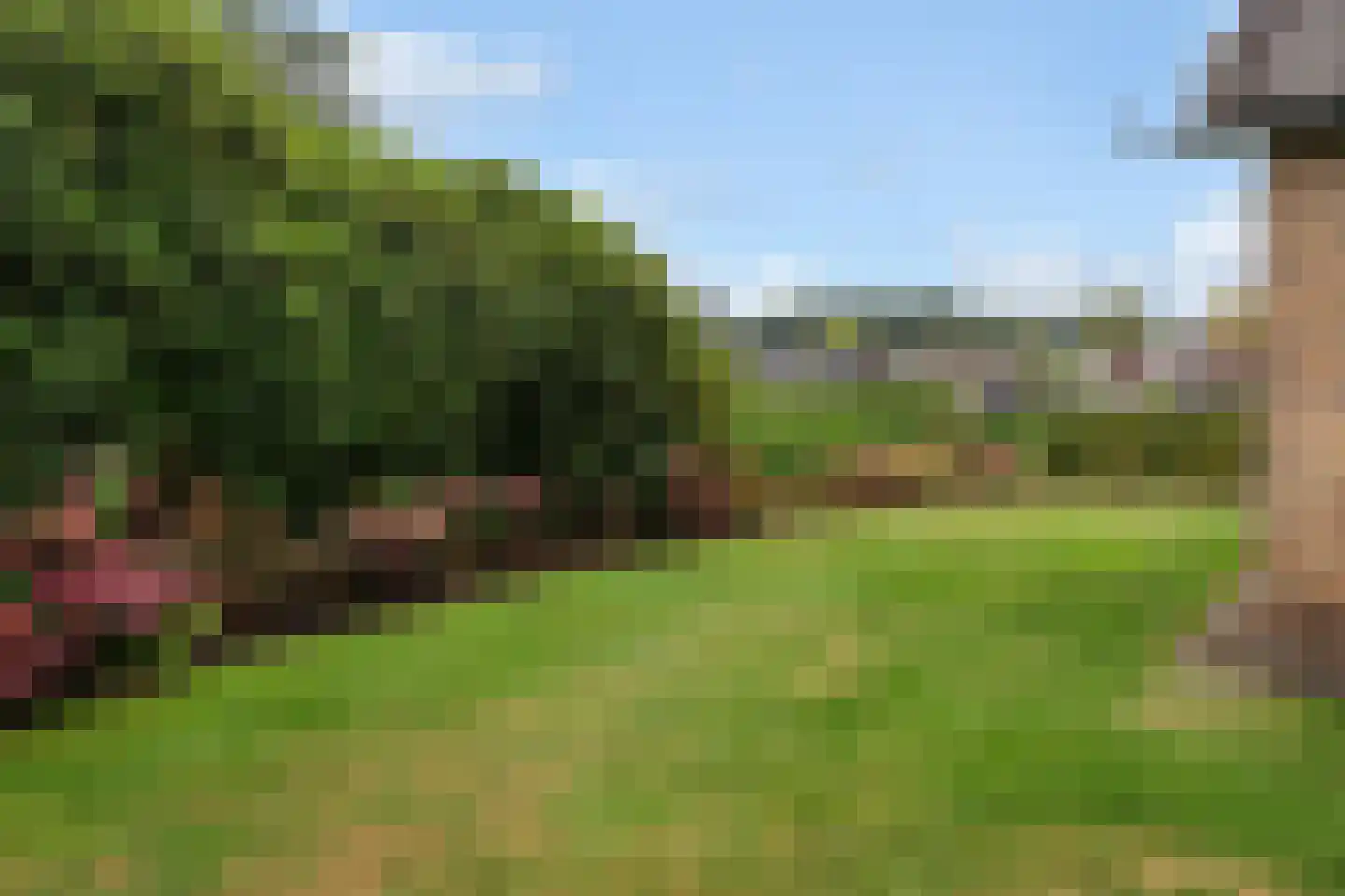 Maadsingel 46 Appelscha thumbnail 30