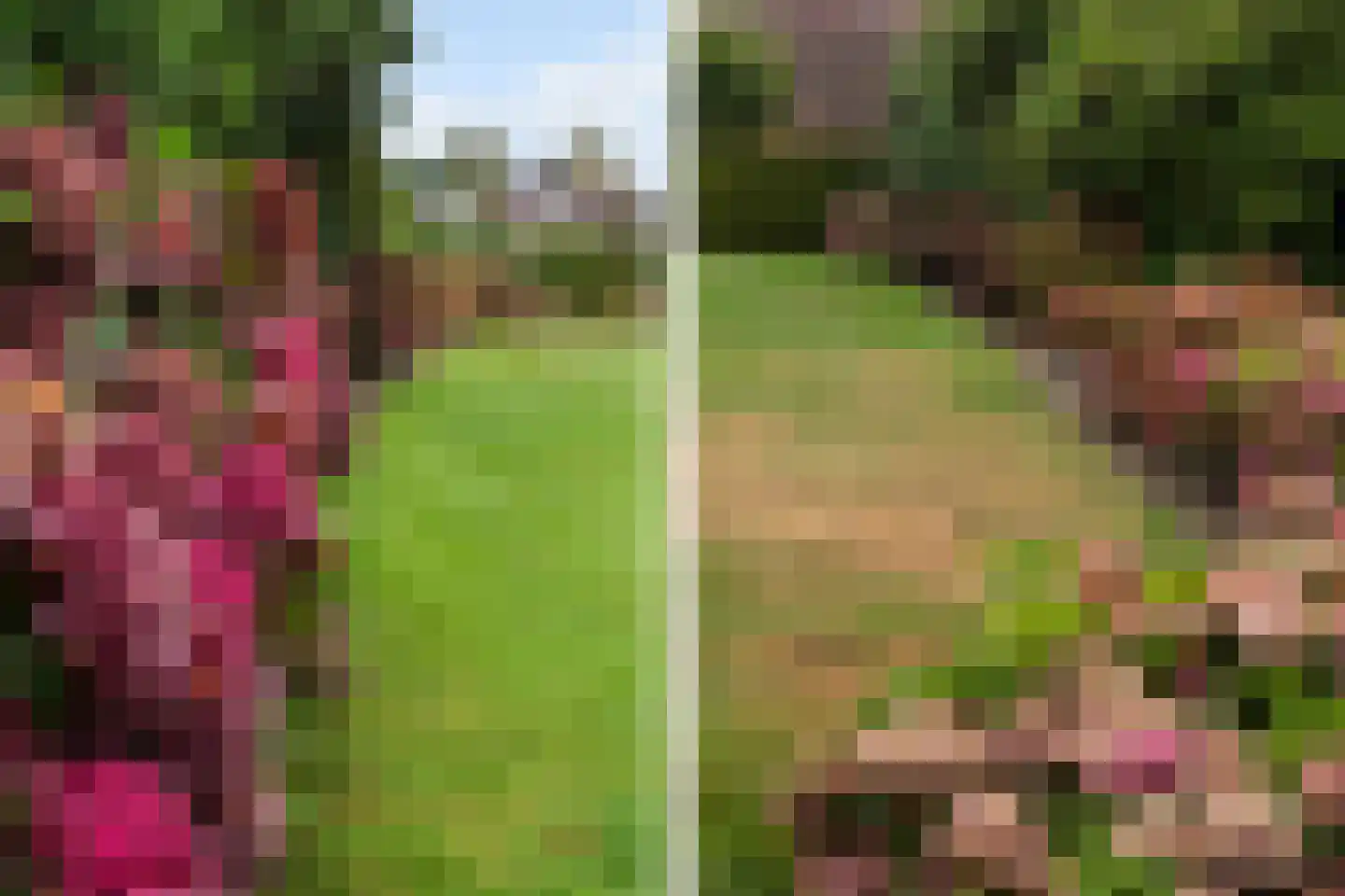 Maadsingel 46 Appelscha thumbnail 31