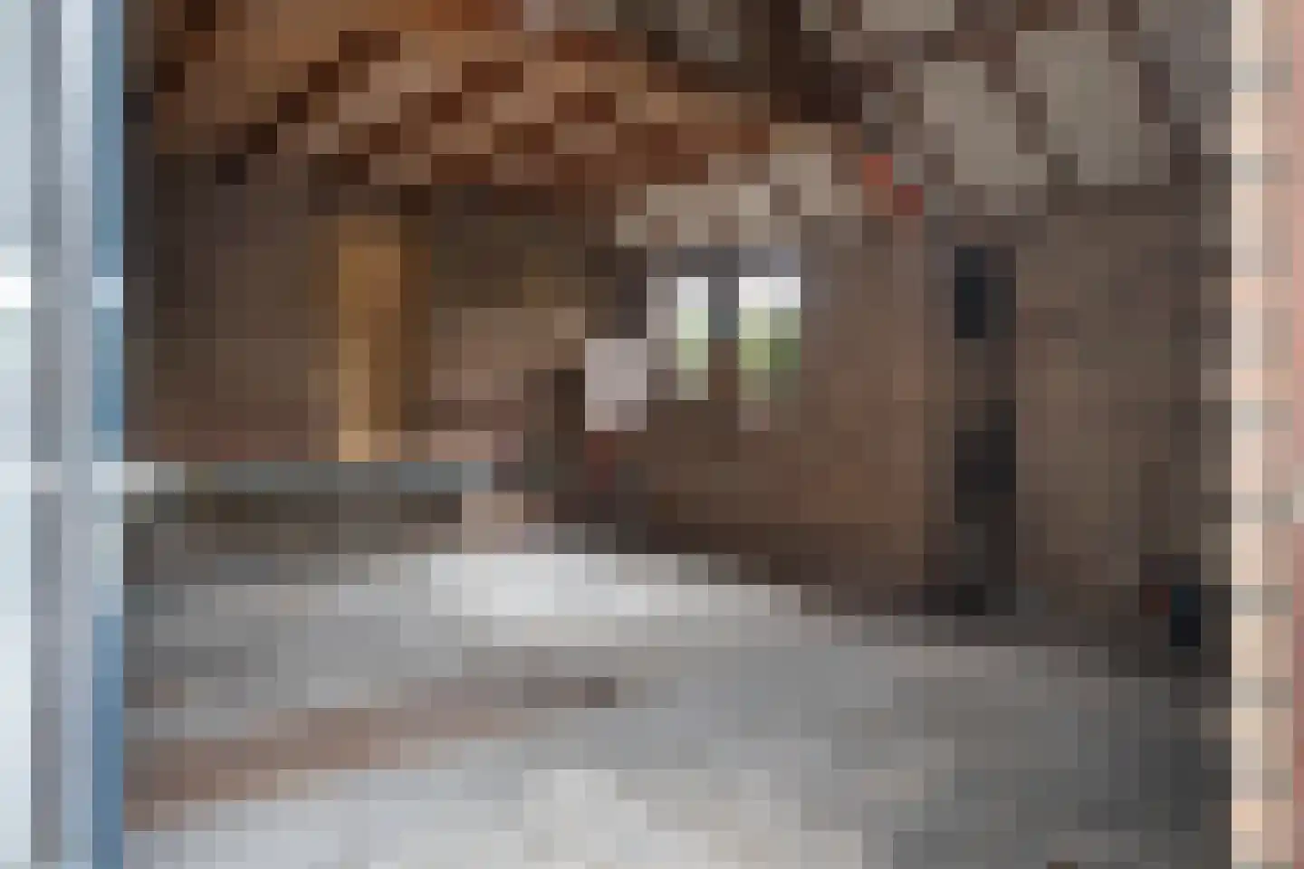 Maadsingel 46 Appelscha thumbnail 41