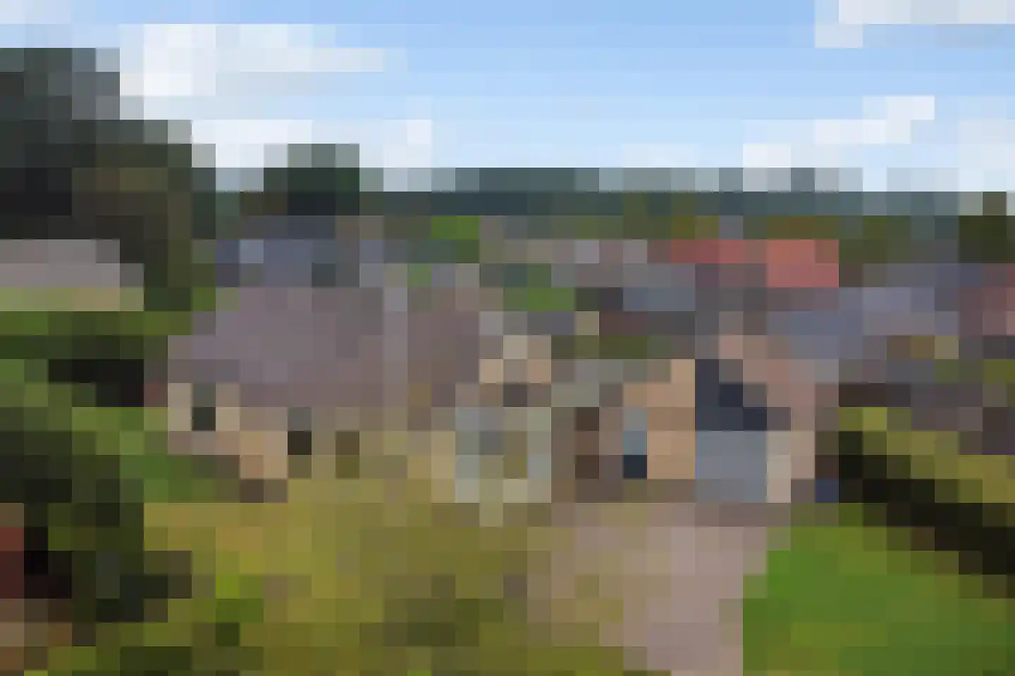 Maadsingel 46 Appelscha thumbnail 5
