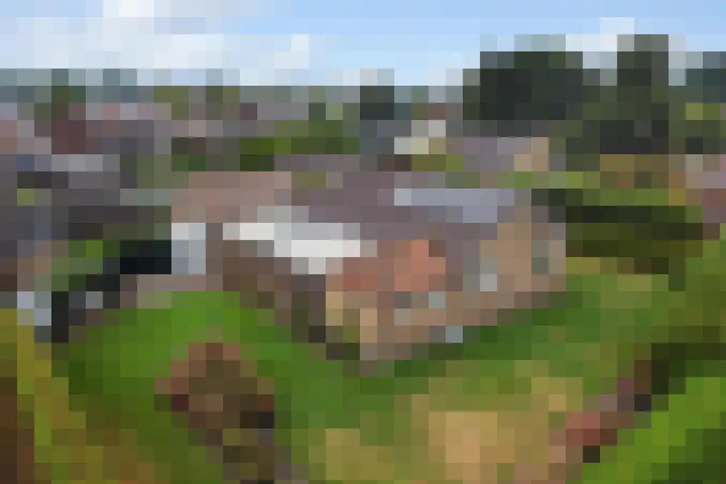 Maadsingel 46 Appelscha thumbnail 6